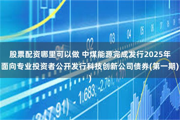 股票配资哪里可以做 中煤能源完成发行2025年面向专业投资者公开发行科技创新公司债券(第一期)