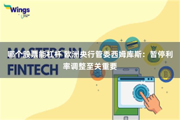 哪个股票能杠杆 欧洲央行管委西姆库斯：暂停利率调整至关重要