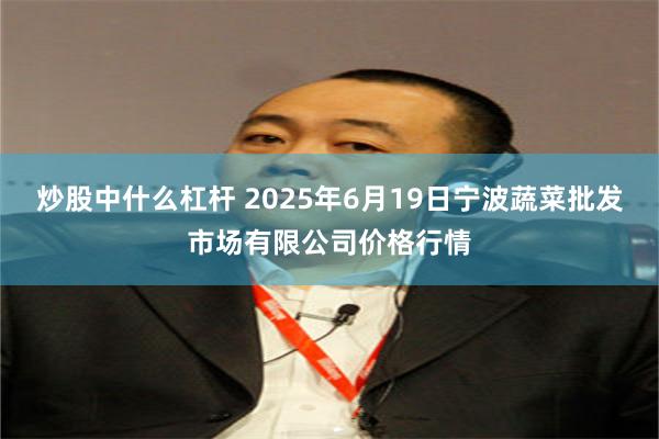 炒股中什么杠杆 2025年6月19日宁波蔬菜批发市场有限公司价格行情