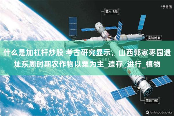 什么是加杠杆炒股 考古研究显示，山西郭家枣园遗址东周时期农作物以粟为主_遗存_进行_植物