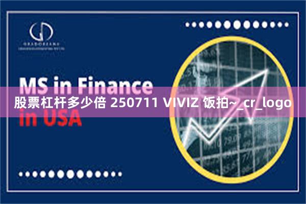 股票杠杆多少倍 250711 VIVIZ 饭拍~_cr_logo