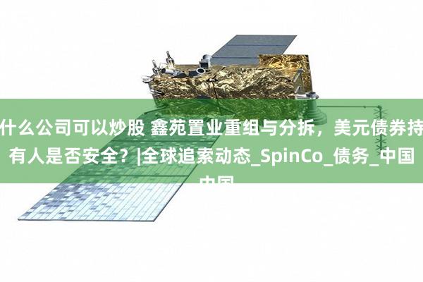 什么公司可以炒股 鑫苑置业重组与分拆，美元债券持有人是否安全？|全球追索动态_SpinCo_债务_中国