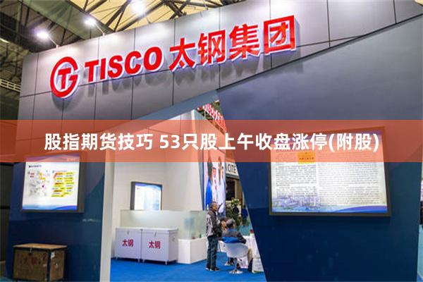 股指期货技巧 53只股上午收盘涨停(附股)