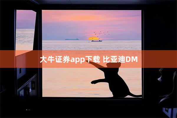 大牛证券app下载 比亚迪DM
